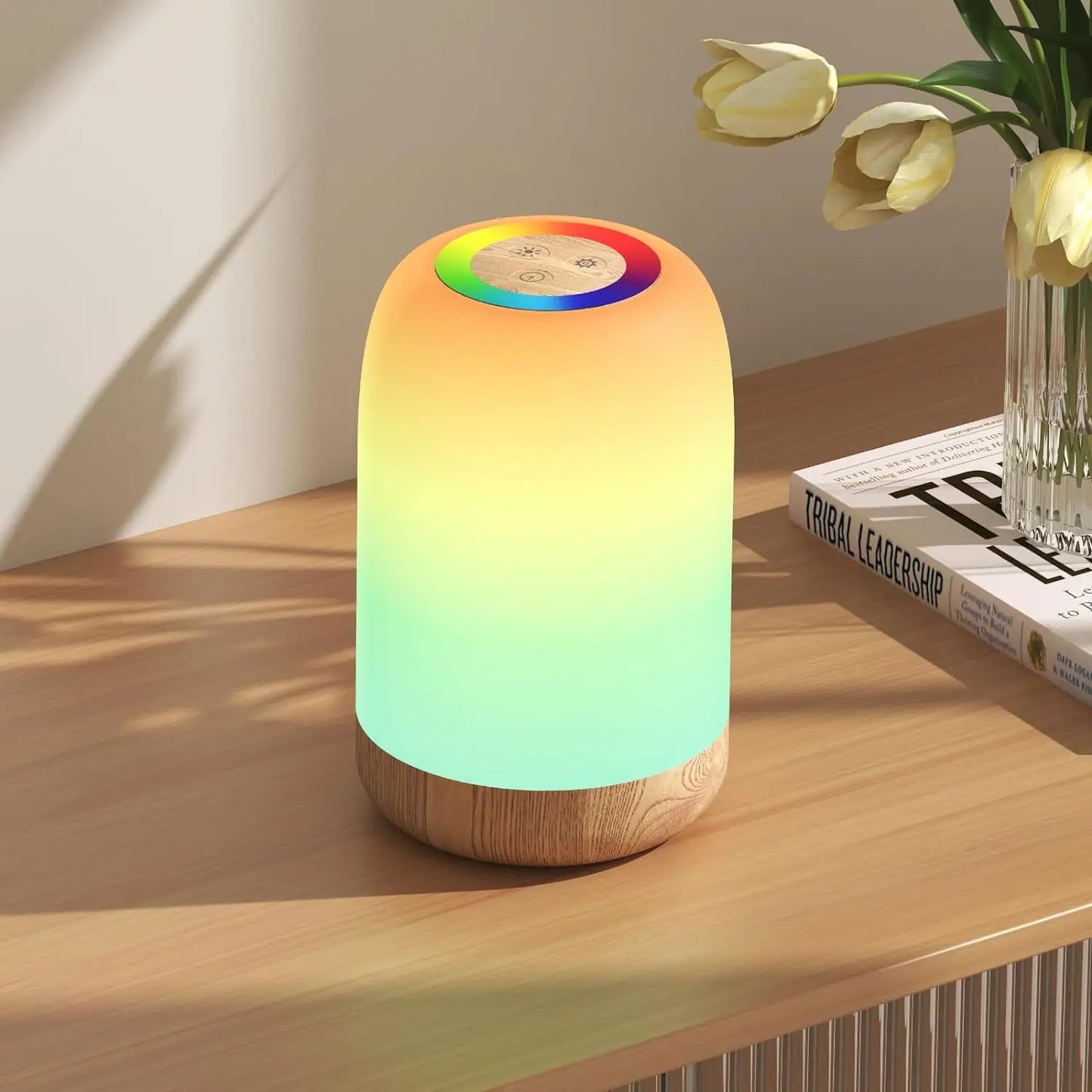 Lampe tactile RVB 256 couleurs, veilleuse avec minuterie et modes